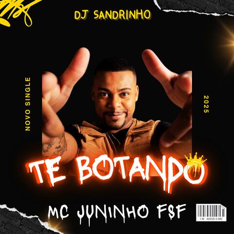 TE BOTANDO (feat. Mc Juninho FSF)
