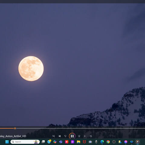 Moonlight Without Goodbye