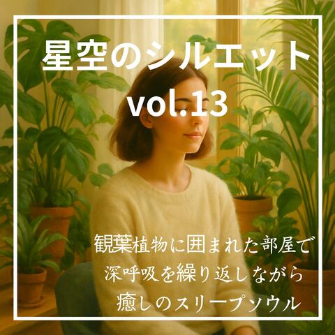 星空のシルエット vol.13 ～ 観葉植物に囲まれた部屋で 深呼吸を繰り返しながら 癒しのスリープソウル ～