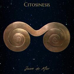 Citosinesis (Uno Serán Dos)