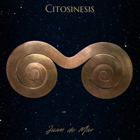 Citosinesis (Uno Serán Dos)
