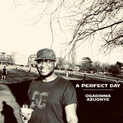 A Perfect Day