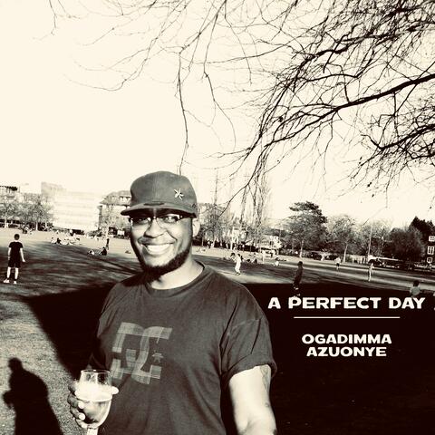 A Perfect Day