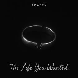 The Life You Wanted