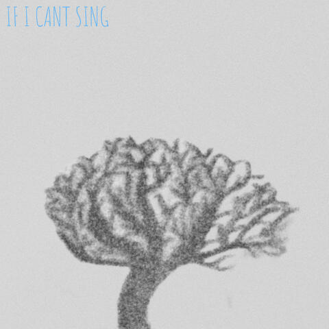 IF I CANT SING
