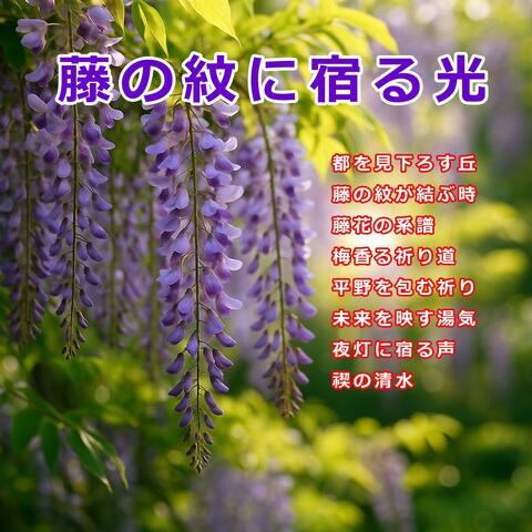 藤の紋に宿る光