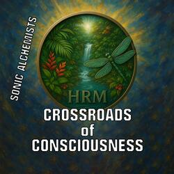 Crossroads of Consciousness