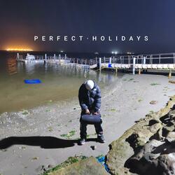 Perfect Holidays