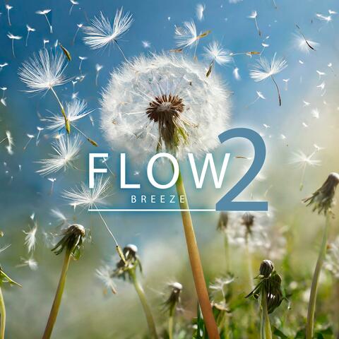 Flow 2