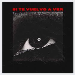 Si te vuelvo a ver