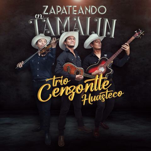 Zapateando en Tamalín