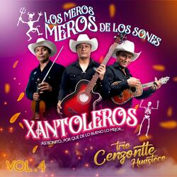 La chimichanga