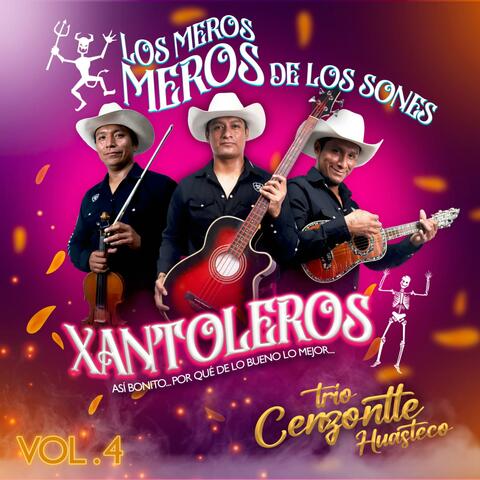 Los meros meros de los sones