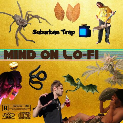 Mind On Lo-Fi