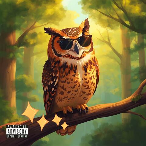 CHILL OWL
