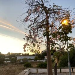 Lost & Found (feat. Anton Klang)