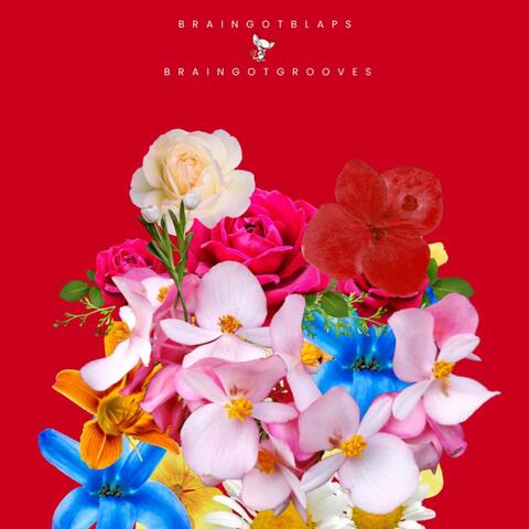 BrainGotGrooves, Vol. 1