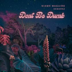 Baby Don't Be Dumb (feat. Niamh Maguire) (Radio Edit)