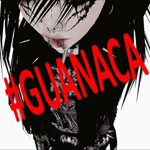 #GUANACA (feat. killamane)