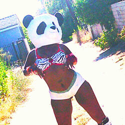 Miss Animal