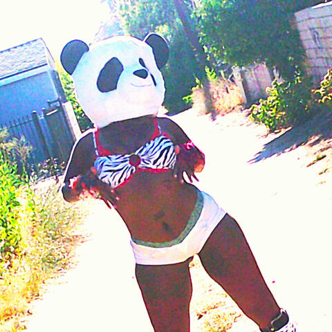 Miss Animal