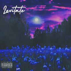 Levitate