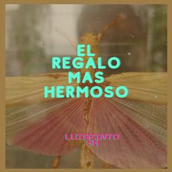 El regalo ams hermoso