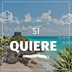 SI QUIERE