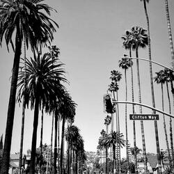 Act Up (feat. YMM LIL MOE)