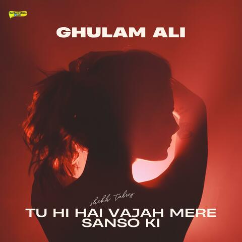 Tu Hi Hai Vajah Mere Sanso Ki