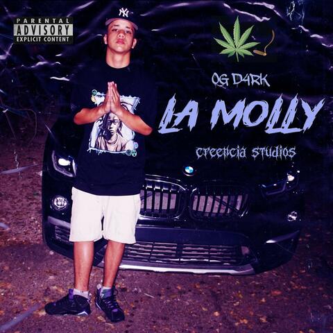 OG D4RK LA MOLLY