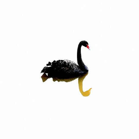 Neon Swans