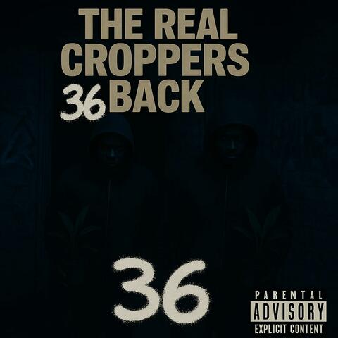 The Real Croppers Back