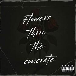 Flowers Thru The Concrete
