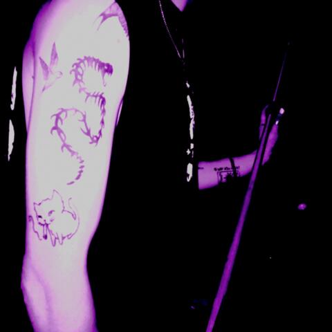 VOICES