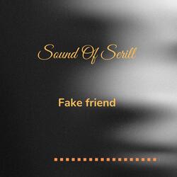 Fake freind