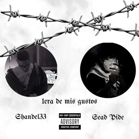 1era De Mis Gustos (feat Sead Pide & Dham Studio)