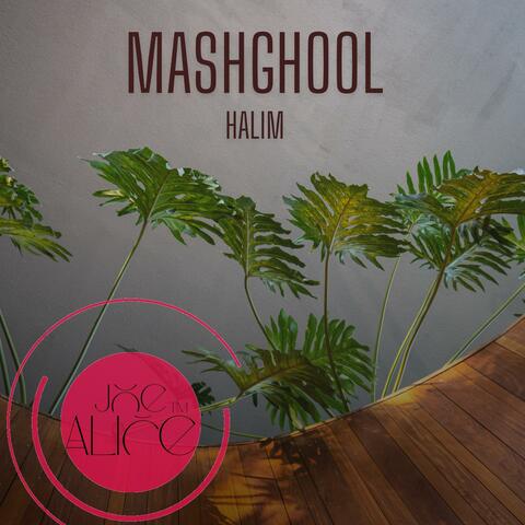 mashghool