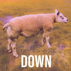 Down (feat. Sam Chalcraft)