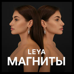 Leya - магниты