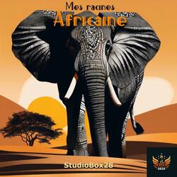 Jigéen ju Afrique (Radio Edit)