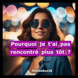 Pourquoi je t'ai pas rencontré plus tôt (Radio Edit)