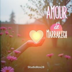 Marrakech m'a appelé (Radio Edit)