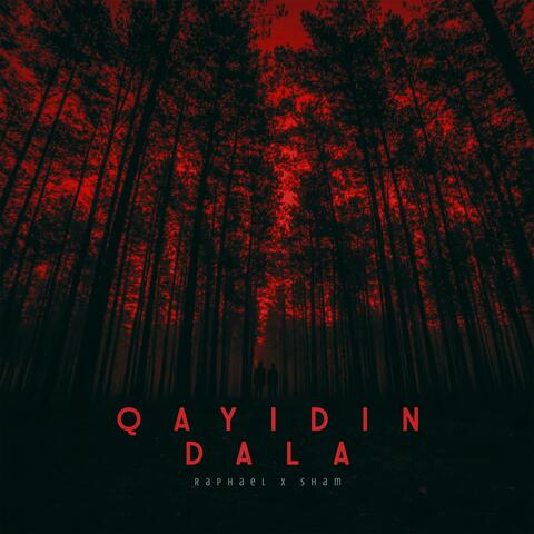 Qayıdın Dala (feat. Sham)