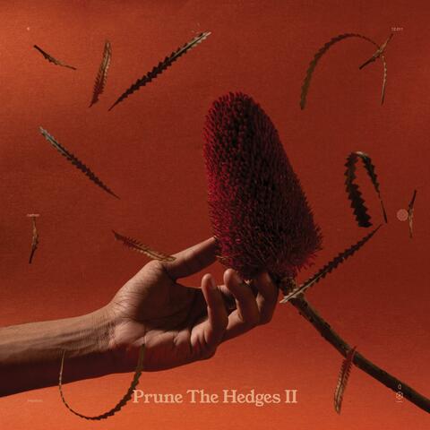 Prune the Hedges II