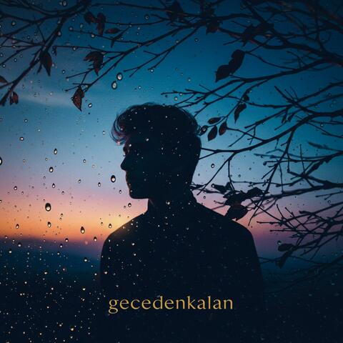 Gecenin Sessizliğinde Ağlama Seansı