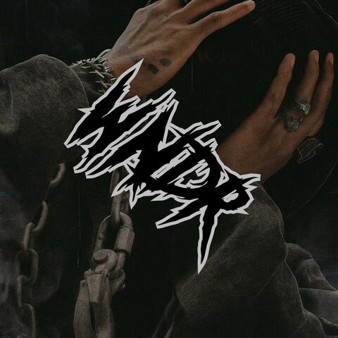 MADMAN FROM WONDERLAND