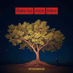 Bats-toi, mon frère (Radio Edit)