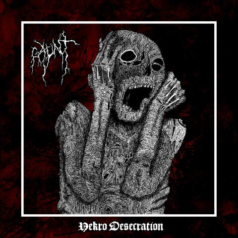 Nekro Desecration