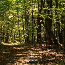 Contradicting Pain (feat. Sane)